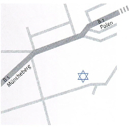 Judischer Friedhof in Seelow-1